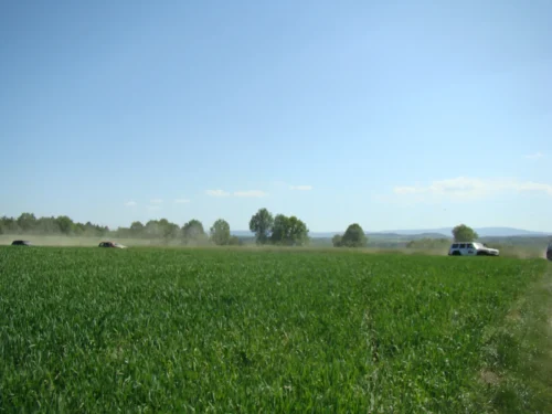 DSC04761