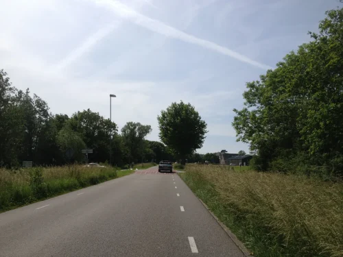 IMG 7546