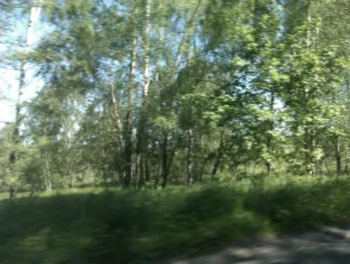 IMAG0158